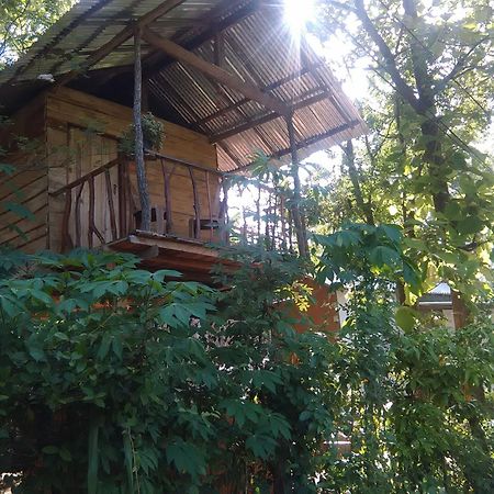 דירות הבאראנה Angry Birds Tree House מראה חיצוני תמונה