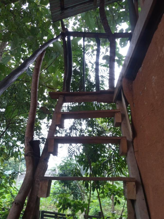 דירות הבאראנה Angry Birds Tree House מראה חיצוני תמונה