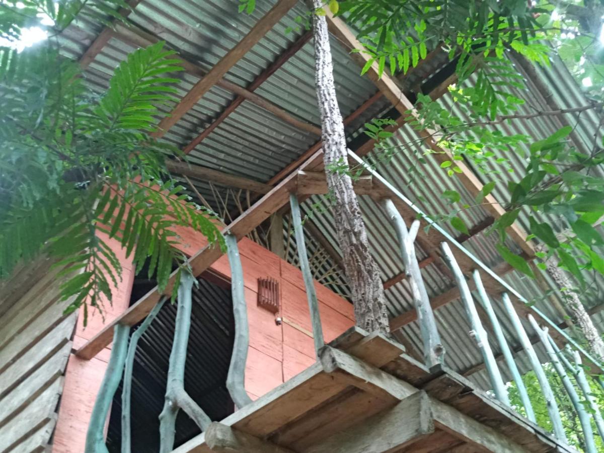דירות הבאראנה Angry Birds Tree House מראה חיצוני תמונה