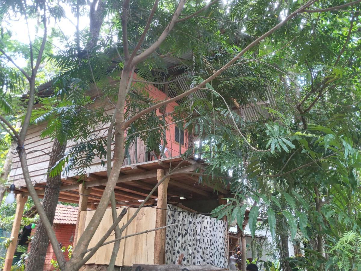 דירות הבאראנה Angry Birds Tree House מראה חיצוני תמונה