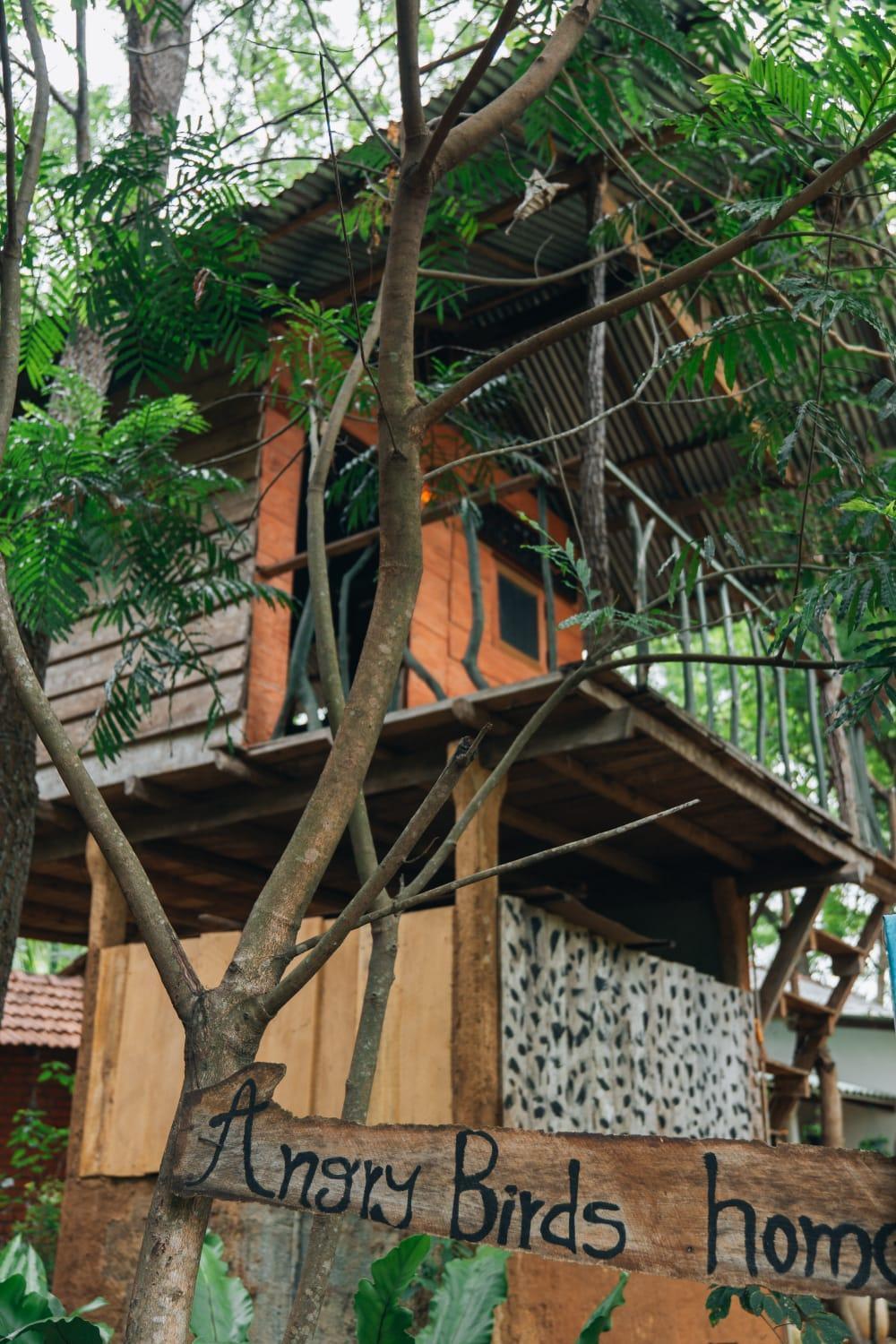 דירות הבאראנה Angry Birds Tree House מראה חיצוני תמונה