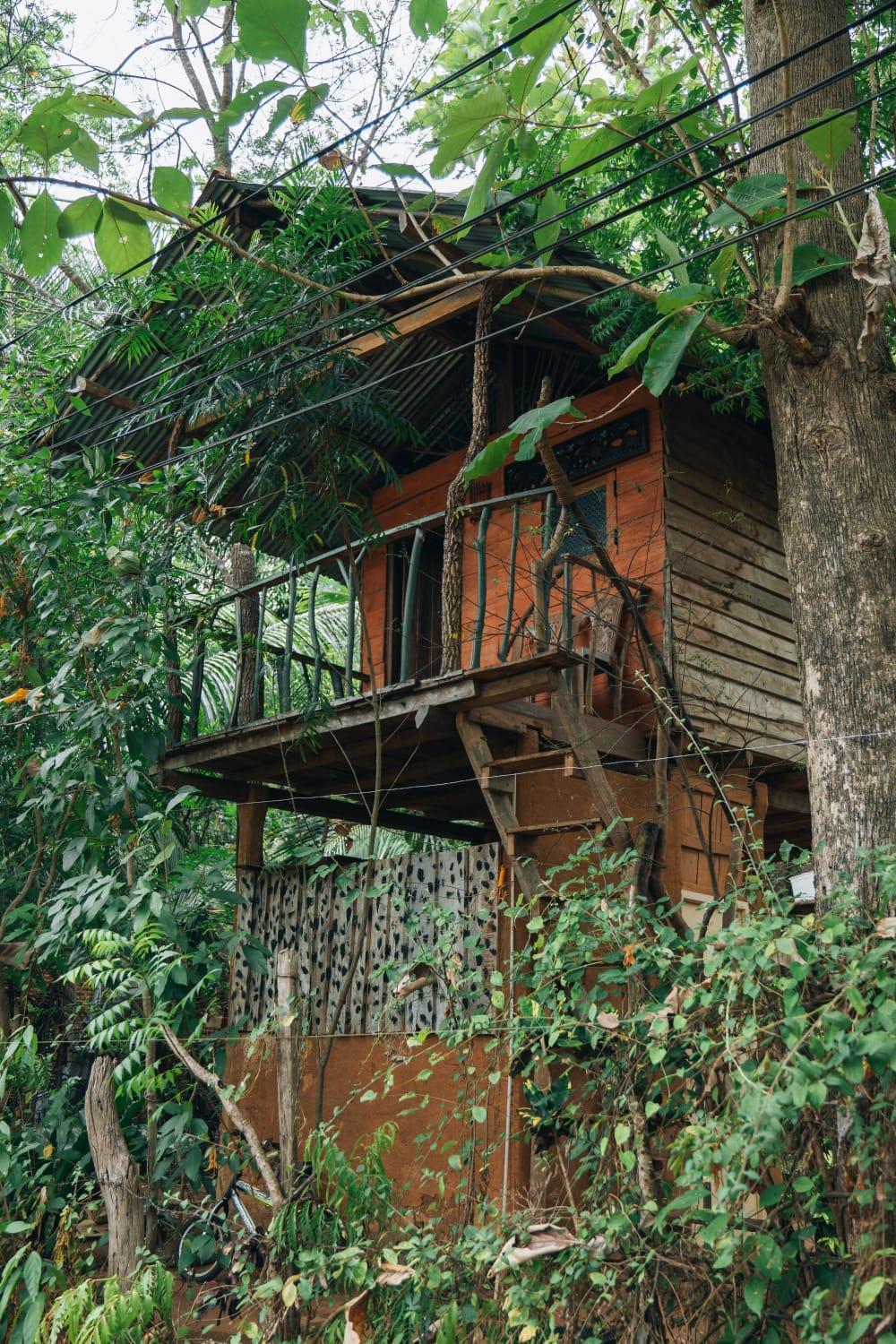 דירות הבאראנה Angry Birds Tree House מראה חיצוני תמונה