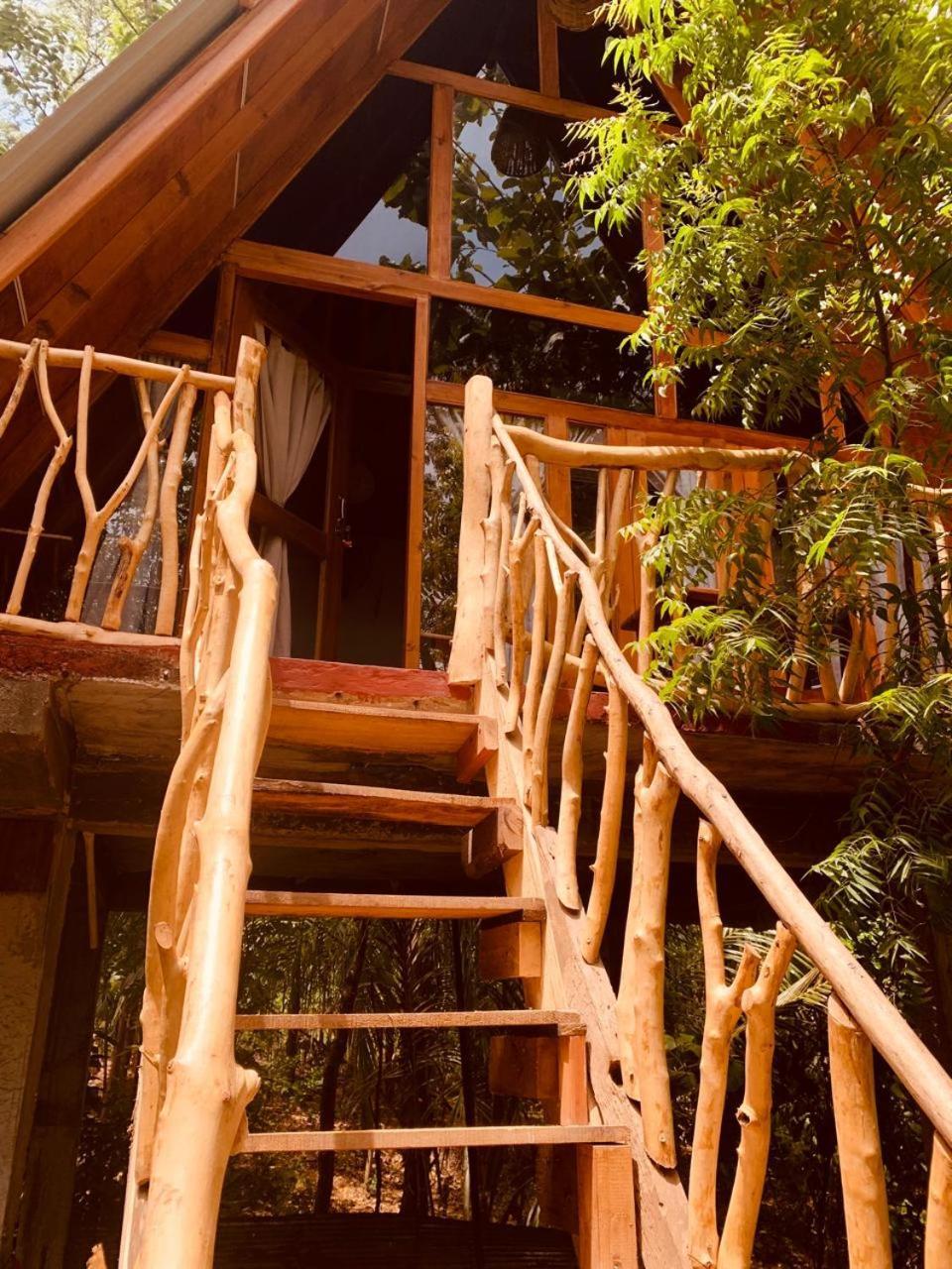 דירות הבאראנה Angry Birds Tree House מראה חיצוני תמונה