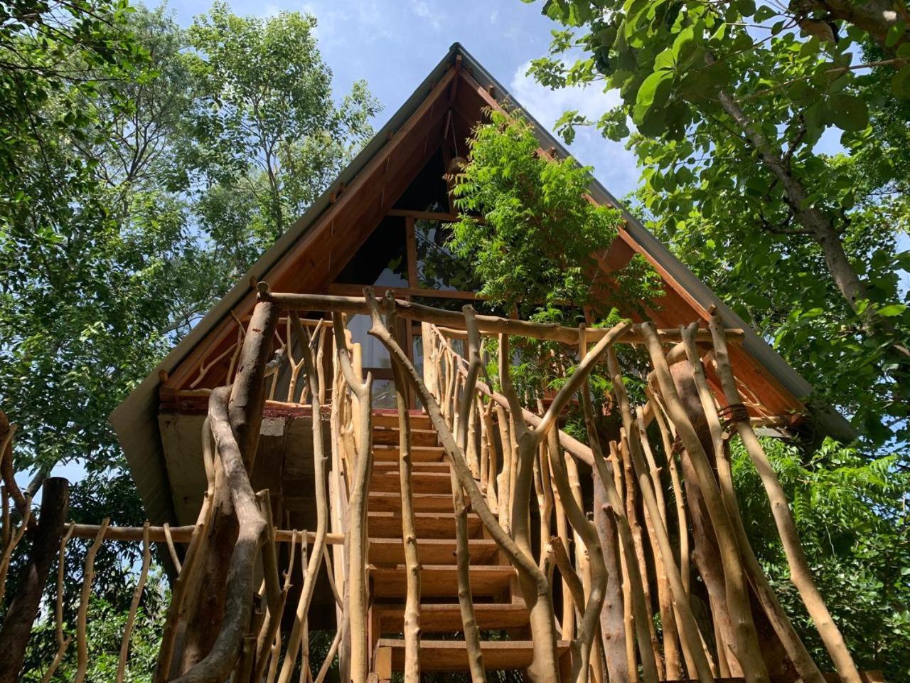 דירות הבאראנה Angry Birds Tree House חדר תמונה