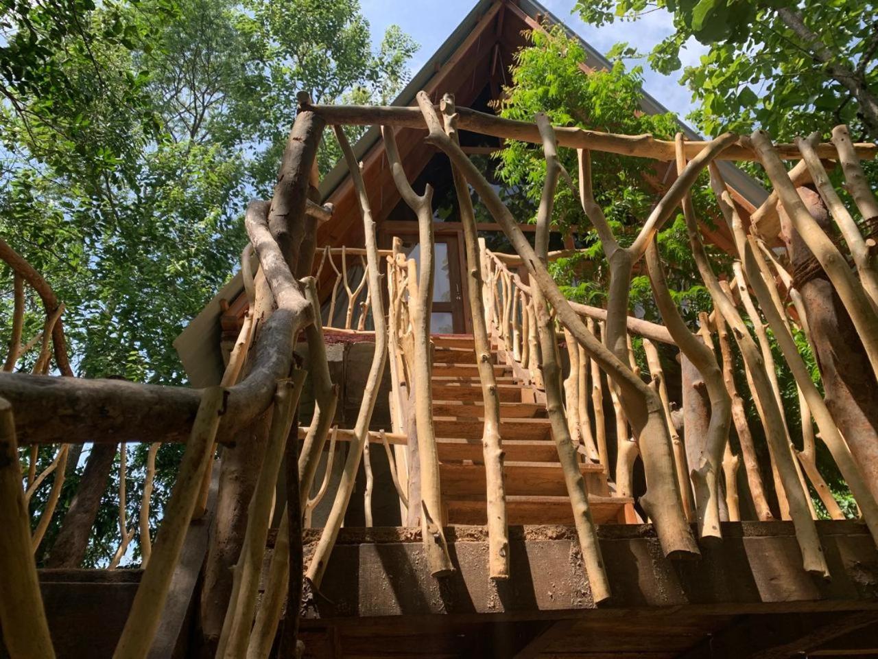 דירות הבאראנה Angry Birds Tree House מראה חיצוני תמונה