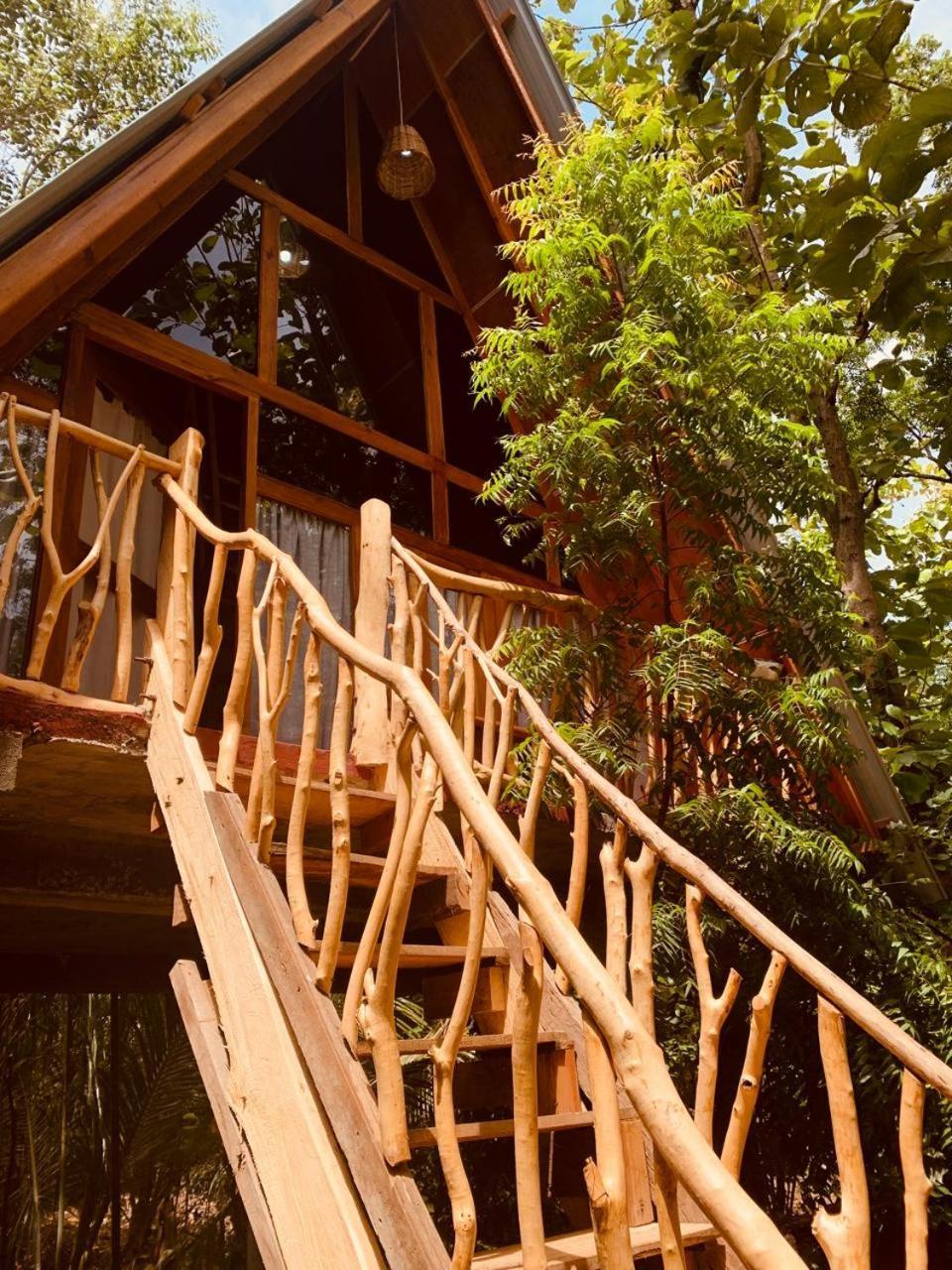 דירות הבאראנה Angry Birds Tree House מראה חיצוני תמונה