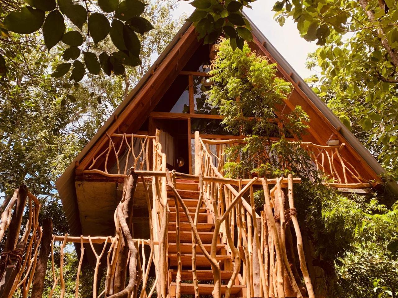 דירות הבאראנה Angry Birds Tree House מראה חיצוני תמונה