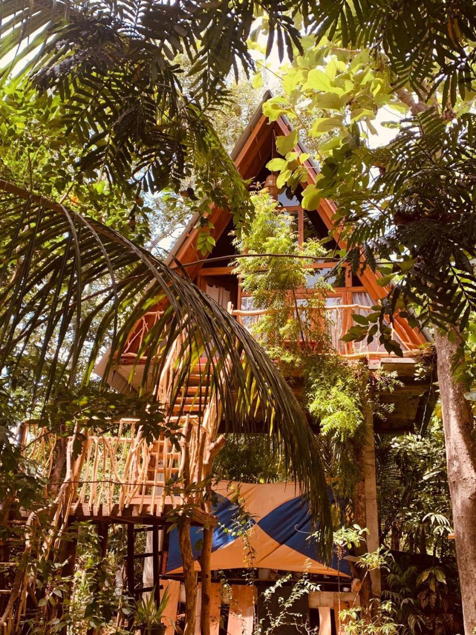 דירות הבאראנה Angry Birds Tree House מראה חיצוני תמונה