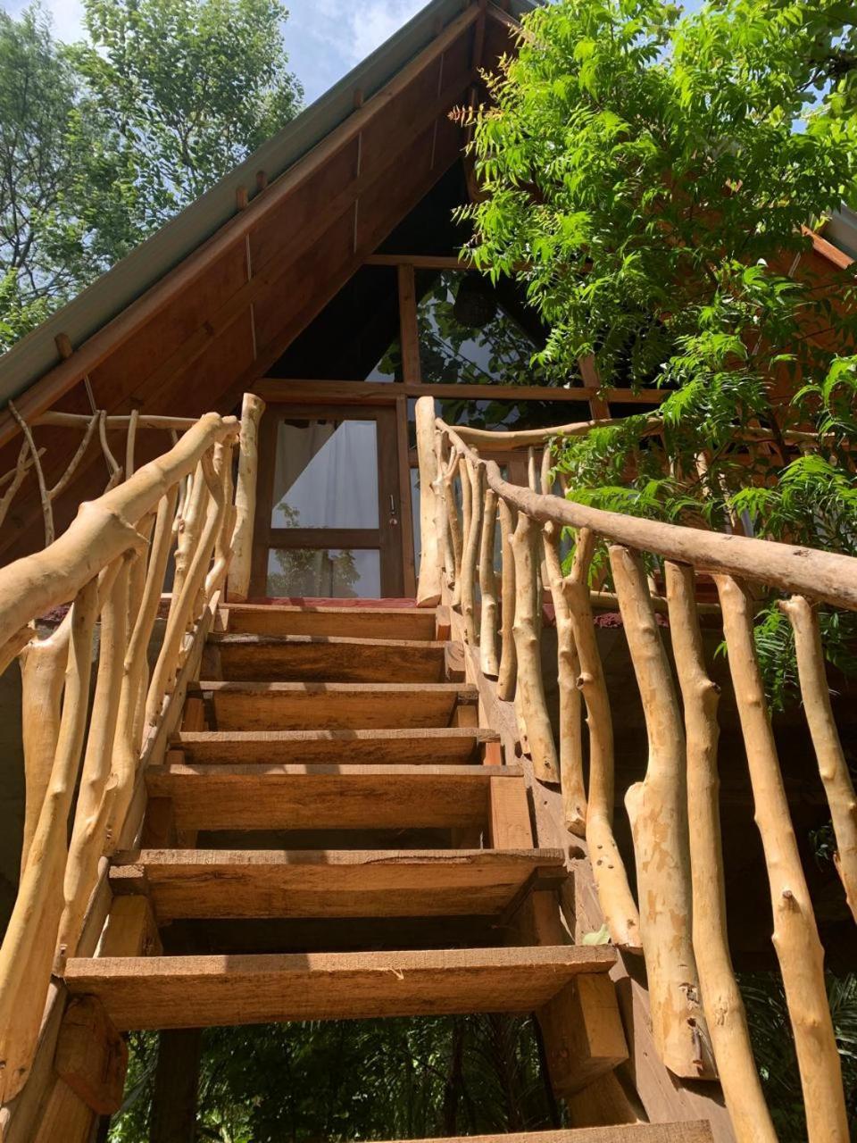 דירות הבאראנה Angry Birds Tree House מראה חיצוני תמונה