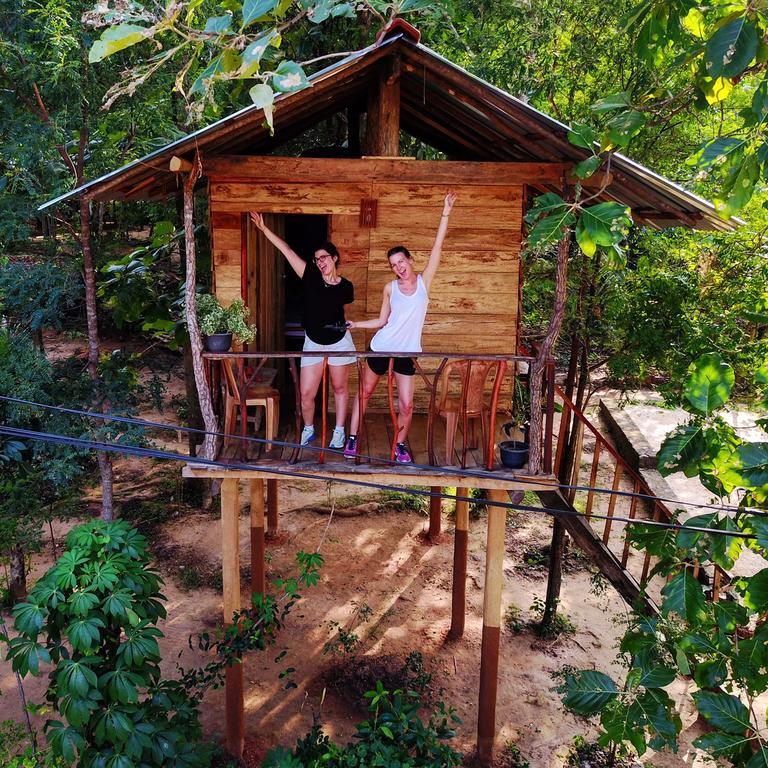 דירות הבאראנה Angry Birds Tree House מראה חיצוני תמונה