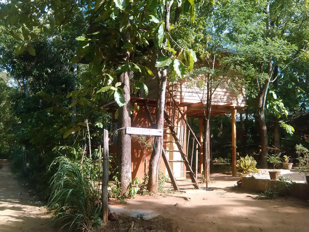 דירות הבאראנה Angry Birds Tree House מראה חיצוני תמונה