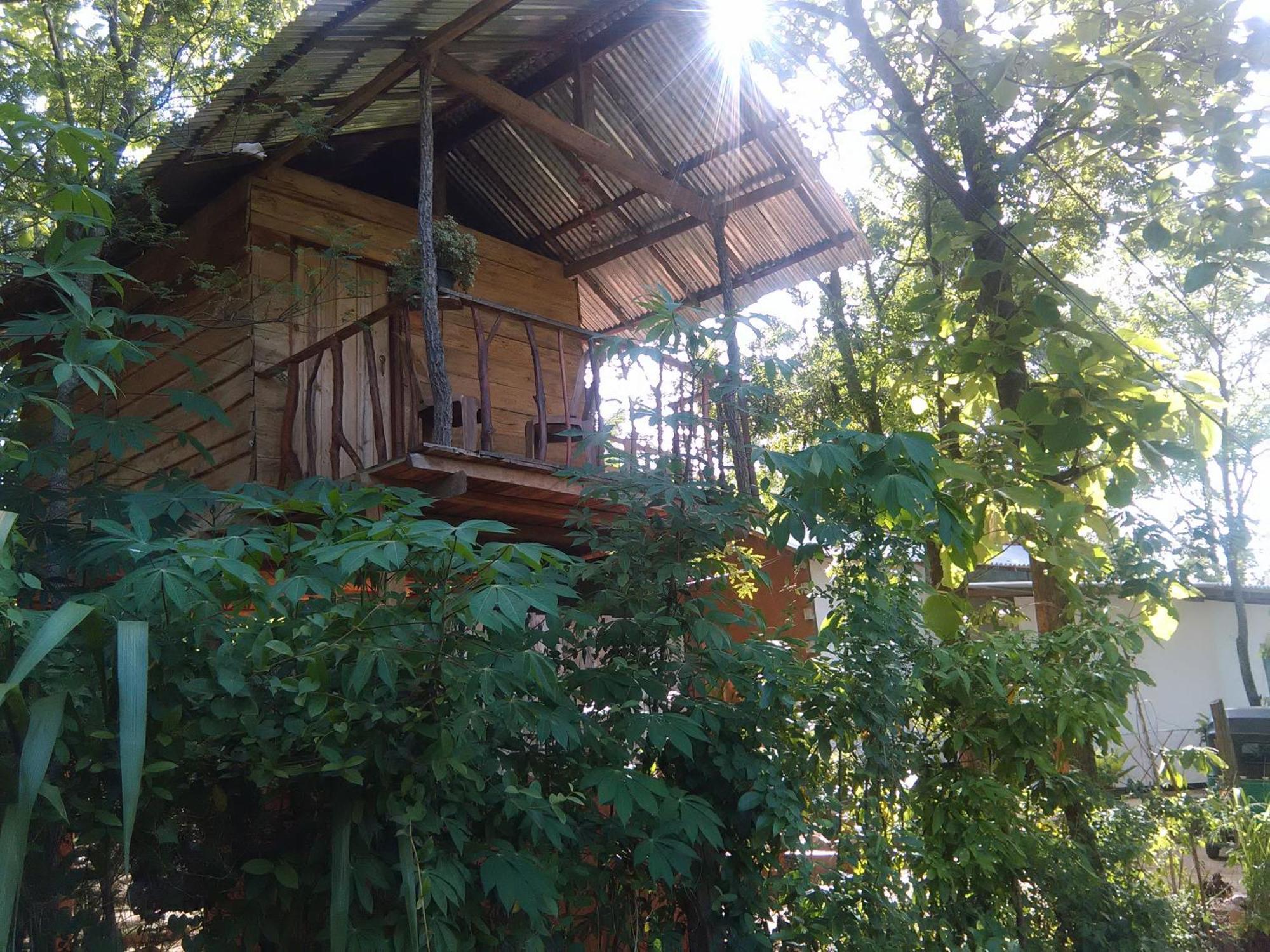 דירות הבאראנה Angry Birds Tree House מראה חיצוני תמונה