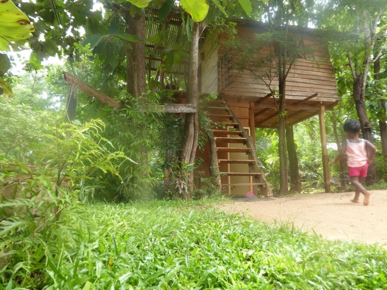 דירות הבאראנה Angry Birds Tree House מראה חיצוני תמונה