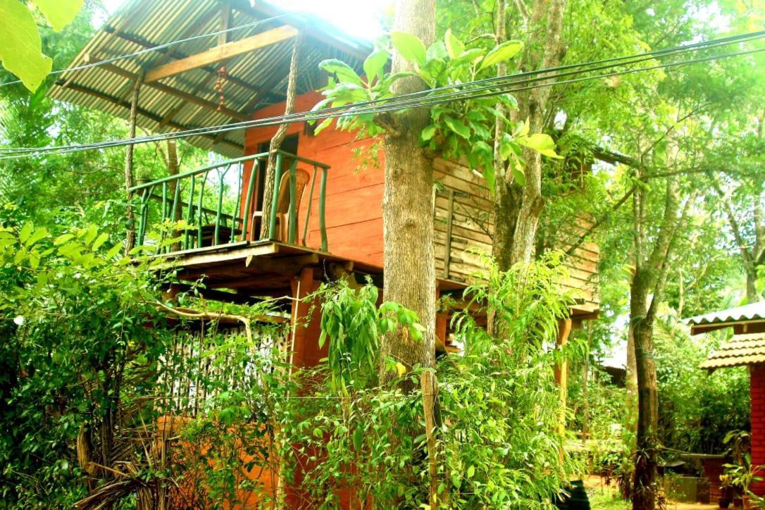 דירות הבאראנה Angry Birds Tree House מראה חיצוני תמונה